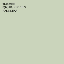 #C9D4BB - Pale Leaf Color Image